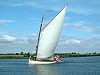 Norfolk Broads Sailing Wherry