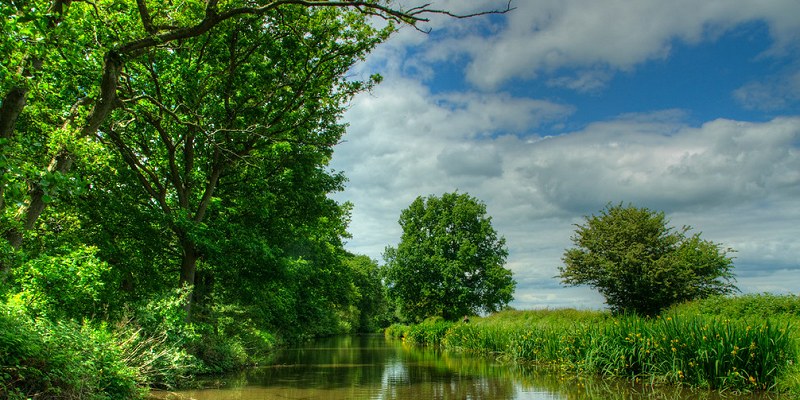 The peaceful Ashby Canal
