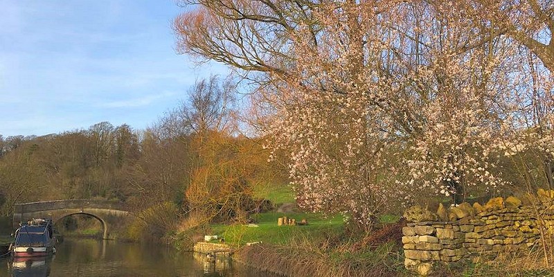 Bridge on the Kennet & Avon