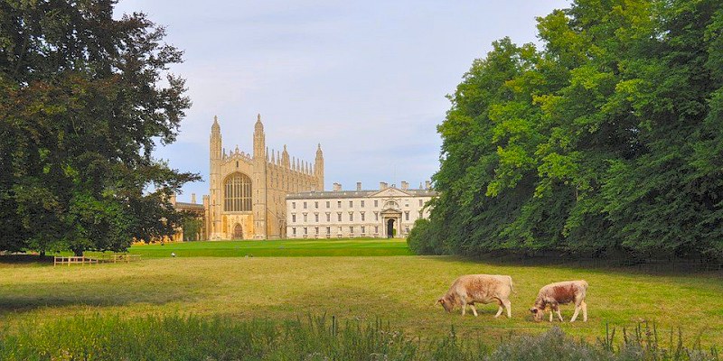 King's College Cambridge