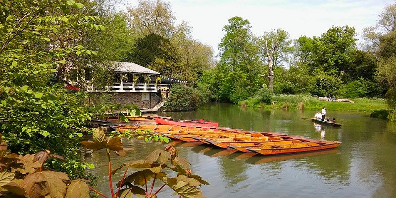 Punts in Cambridge