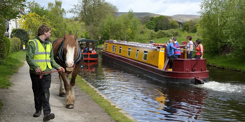 Horse Drawn Boat