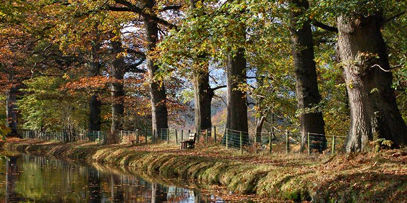 Autumn on the Mon & Brec