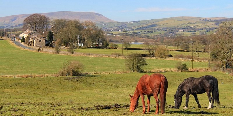 Pendle Hill