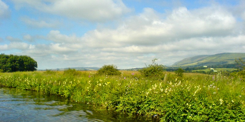 Scottish lowlands