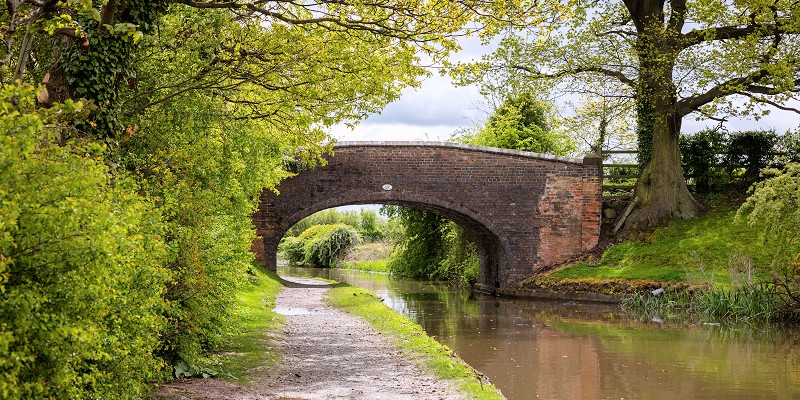 Bridge near Springwood