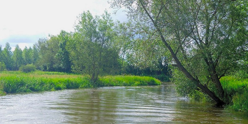 The Tranquil South Oxford Canal